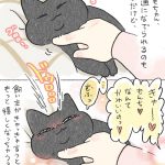 ぜーんぶ褒め言葉