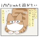 パパにゃんも遊びたい