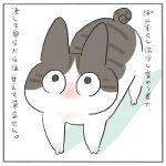 ぽんずくんの甘え方