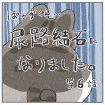 ぽんずくん尿路結石になりました-第6話-