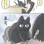 飼い主ありき