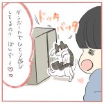 観音開きくろもさん