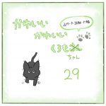 かわいいかわいいくろもちゃん-29-
