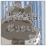 ぽんずくん尿路結石になりました-最終回-