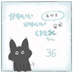 かわいいかわいいくろもちゃん-36-