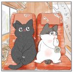 くろもとぽんずのあっちこっちシリーズNo.3