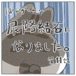 ぽんずくん尿路結石になりました-第11話-
