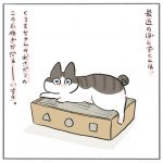 ぽんずくんの爪研ぎ