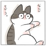 ぽんずくんの爪研ぎ -その後-