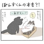 ぽんずくんの本音？！