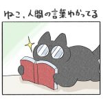 ねこ、人間の言葉わかってる