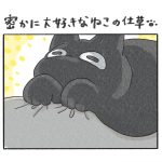 密かに大好きなねこの仕草