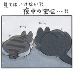 見てはいけない!?夜中の密会…!!