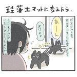 珪藻土マットに変えたら…