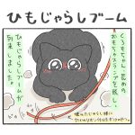 ひもじゃらしブーム。