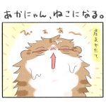 あかにゃん、ねこになる。