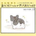 おとうとにゃんがやって来たにゃよ！？その１３