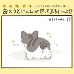 おとうとにゃんがやって来たにゃよ！？その１７
