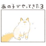 あの子がやってきた３