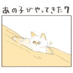 あの子がやってきた７