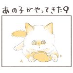 あの子がやってきた９